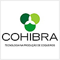Cohibra - Coqueiros Hibridos Do Brasil